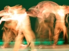 Dance Movement
