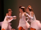 Wonka the Golden Geese 2009